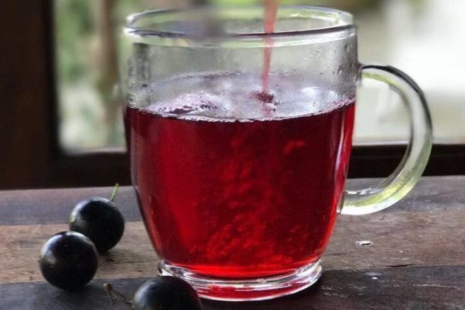 Bebidas, Cozido, Brasileira, Dia a Dia, Leve e Saudável, Chás, jabuticaba