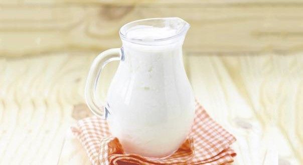 alimentos para dieta, benefícios dos alimentos, condições de saúde, o que engorda ou emagrece, probióticos