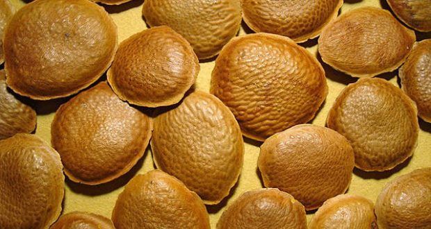 benefícios dos alimentos, óleos vegetais