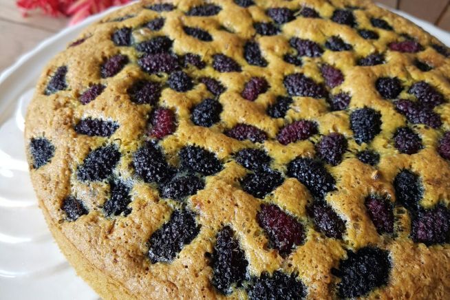 Torta Doce, Assado, Brasileira, Ocasiões Especiais, Tortas doces e salgadas